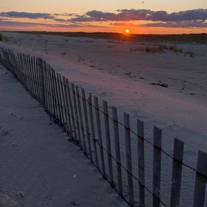 Meet your Posher, Lexi